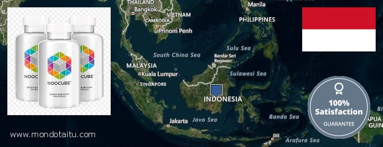 Where to Buy Nootropics online Indonesia